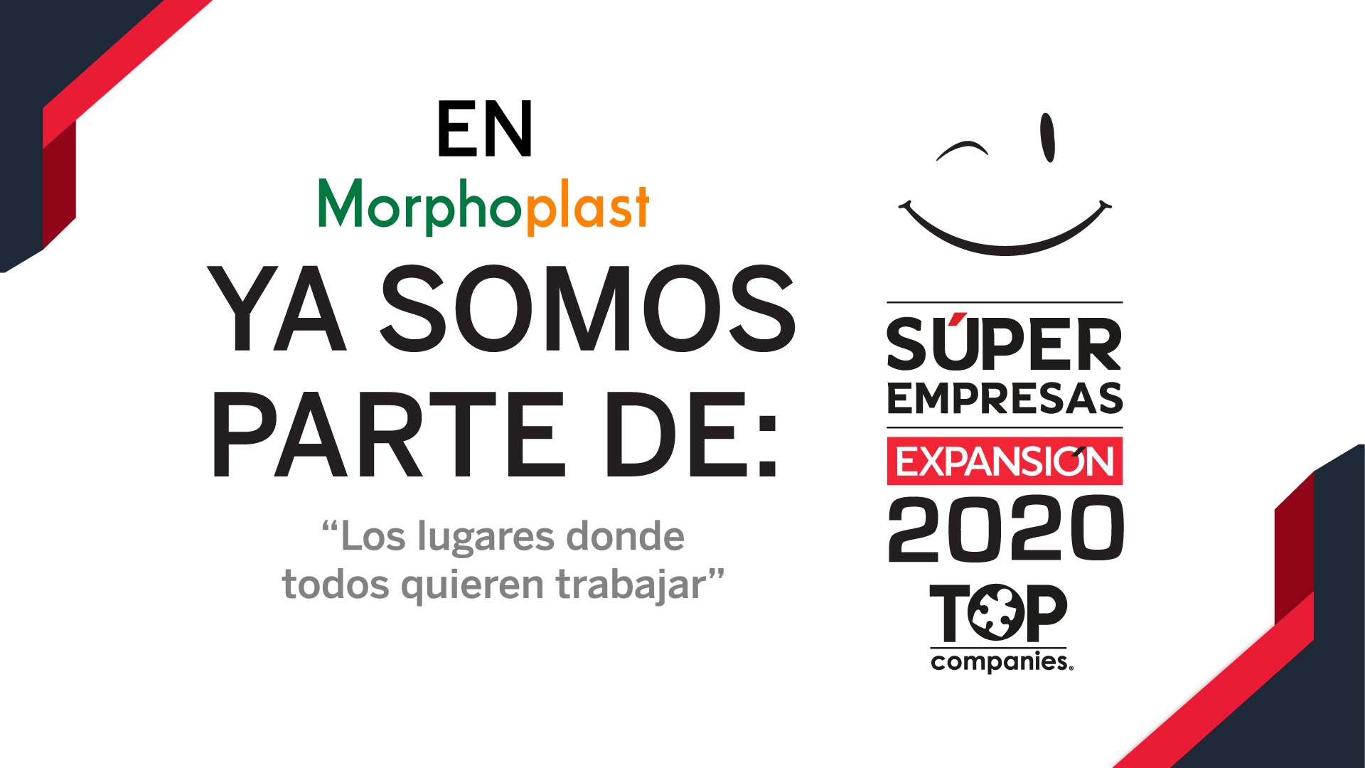 Morphoplast Fibra de Poliéster Sustentable Mexicana